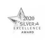 2020 Silver Excellence